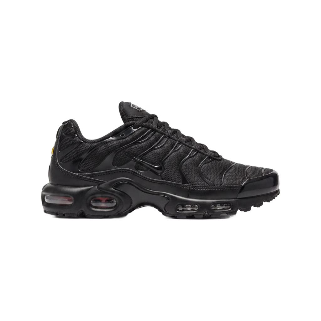 Nike TN negra 