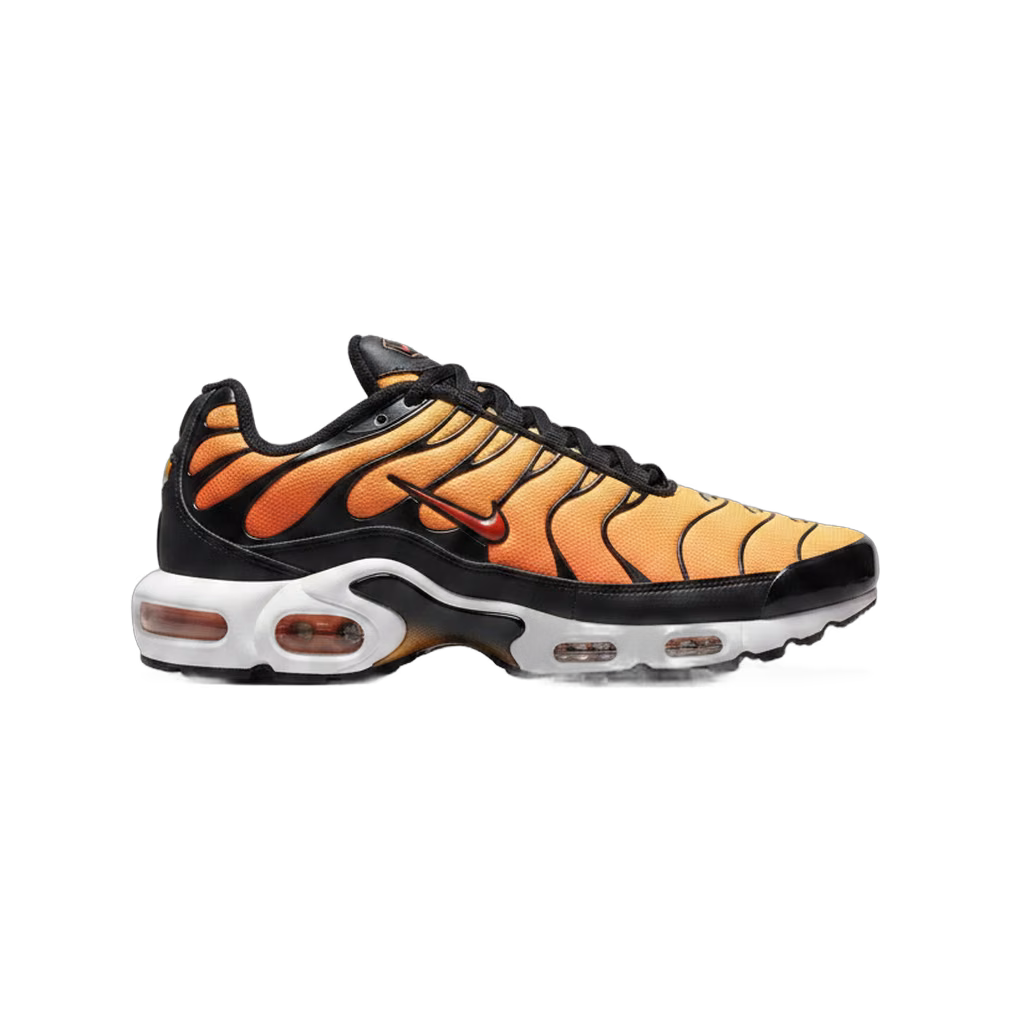 Nike TN tigre 